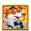 Read more about the article 2024 5 Doggy Millionaires Dream Drop Slot Game Review