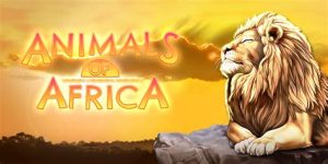 Read more about the article Animals Of Africa Slot Game