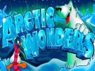 Read more about the article Arctic Wonders Slot Game