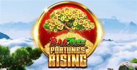 Read more about the article Bao Tree: Fortunes Rising Slot Game