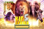 Read more about the article Big 5 Africa Slot Game