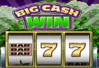 Read more about the article Big Cash Win Slot Game