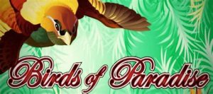 Read more about the article Birds of Paradise Slot Game