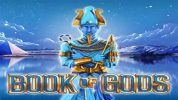 Read more about the article Book Of Gods Slot Game