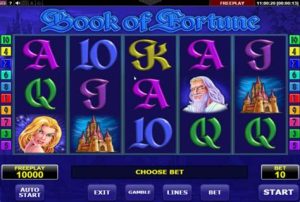 Read more about the article Book of Fortune Slot Game