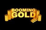 Read more about the article Booming Gold Slot Game