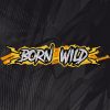 Read more about the article Born Wild Slot Game