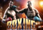 Read more about the article Boxing Slot Game