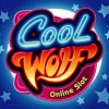 Read more about the article Cool Wolf Slot Game