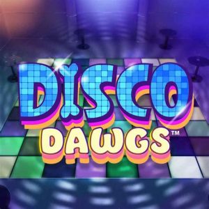 Read more about the article Disco Dawgs Slot Game