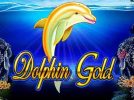 Read more about the article Dolphin Gold Slot Game