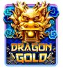 Read more about the article Dragon Slot Slot Game