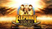 Read more about the article Elephant King Slot Game