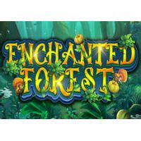 Read more about the article Enchanted Forest Slot Game