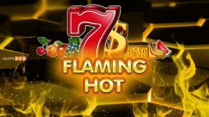 Read more about the article Flaming Hot Slot Game