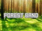 Read more about the article Forest Band Slot Game