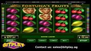 Read more about the article Fortunas Fruit Slot Game