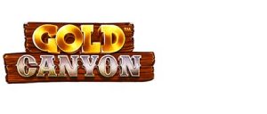 Read more about the article Gold Canyon Slot Game