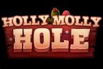 Read more about the article Holly Molly Hole Slot Game