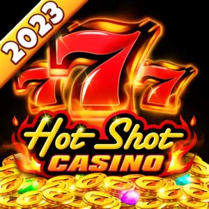 Read more about the article Hot Shot Slot Game