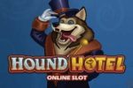 Read more about the article Hound Hotel Slot Game