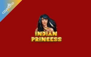 Read more about the article Indian Princess Slot Game