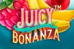 Read more about the article Juicy Bonanza Slot Game