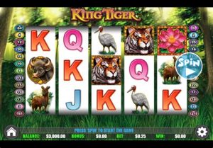 Read more about the article King Tiger Slot Game