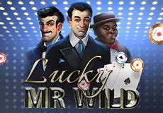 Read more about the article Lucky Mr Wild Slot Game