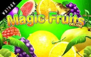 Read more about the article Magic Fruits Slot Game