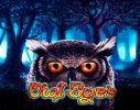 Read more about the article Owl Eyes Slot Game