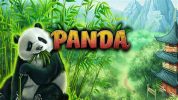 Read more about the article Panda Family Slot Game