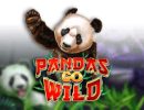 Read more about the article Panda’s Go Wild Slot Game