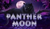 Read more about the article Panther Moon Slot Game