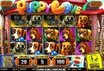 Read more about the article Puppy Love Slot Game