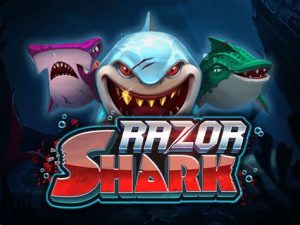 Read more about the article Razor Shark Slot Game