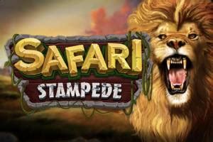 Read more about the article Safari Stampede Slot Game