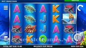 Read more about the article Savage Shark Slot Game