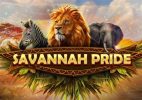 Read more about the article Savannah Pride Slot Game Review