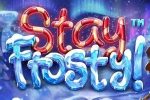 Read more about the article Stay Frosty! Slot Game