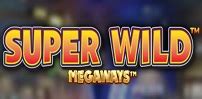 Read more about the article Super Wild Megaways Slot Game