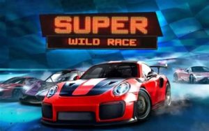 Read more about the article Super Wild Race Slot Game