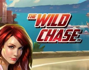 Read more about the article The Wild Chase Slot Game