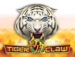 Read more about the article Tigers Claw Slot Game