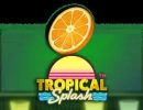 Read more about the article Tropical Splash Slot Game