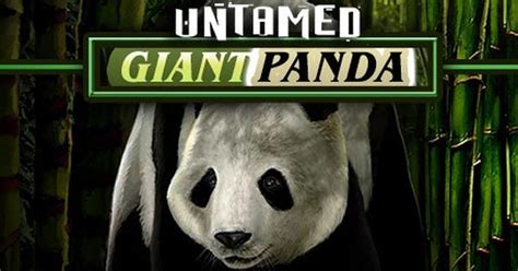 Untamed Giant Panda Slot Game