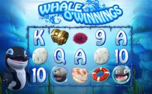 Read more about the article Whale O’ Winnings Slot Game