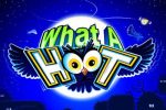 Read more about the article What a Hoot Slot Game