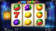 Read more about the article Wild Cash Slot Game