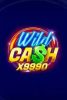 Read more about the article Wild Cash X9990 Slot Game